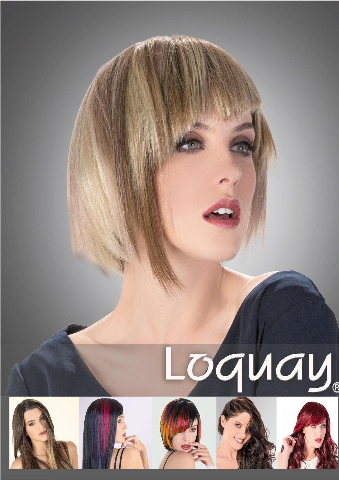 Tintes Loquay® — gama 1